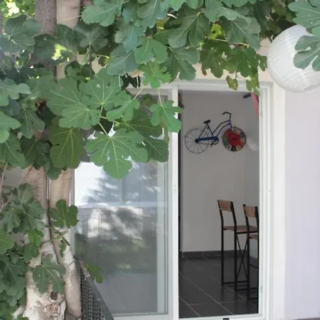 Aloanda House 펜션 페티예