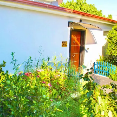 펜션 Aloanda House 페티예