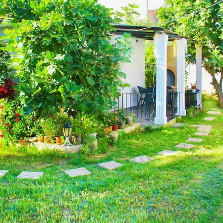 펜션 Aloanda House 페티예