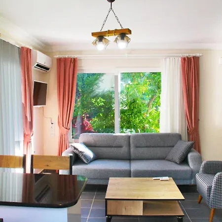 Aloanda House With Swimming Pool 费特希耶